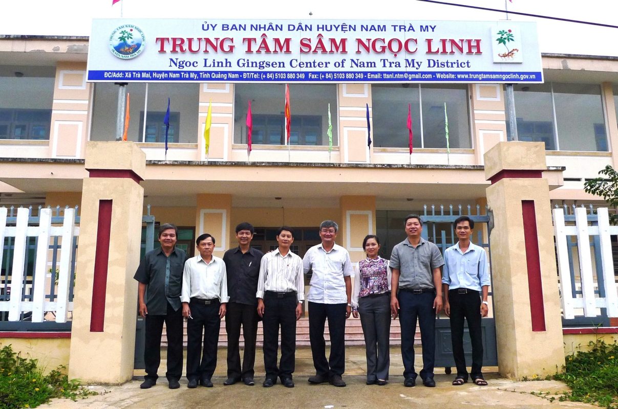 Sao Đỏ Tây Bắc – Cây Sâm lai Châu/Sâm Ngọc Linh