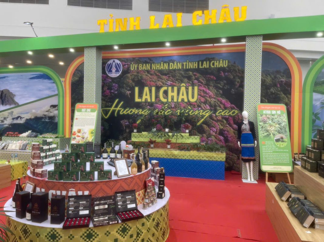 Sao Đỏ Tây Bắc – Cây Sâm lai Châu/Sâm Ngọc Linh