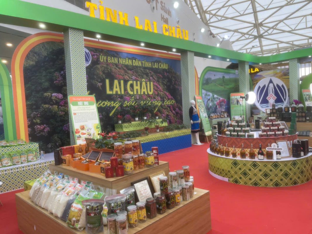 Sao Đỏ Tây Bắc – Cây Sâm lai Châu/Sâm Ngọc Linh